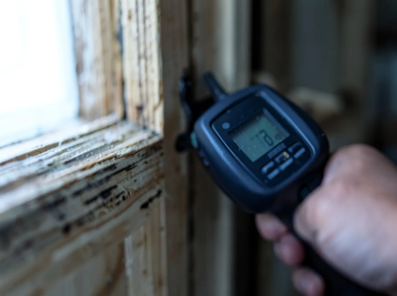 Moisture Inspection And Documentation in Onalaska, TX